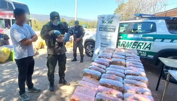 Catamarca: decomisaron marihuana y cocaína escondidas en capibaras de peluche