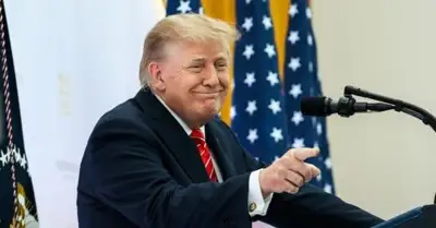 Trump ofrece US$ 1 millón por información sobre "fraude electoral"