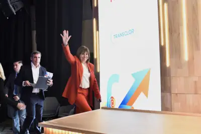 Milei en Paris, Bullrich en IDEA: la reforma electoral y las dudas de la senadora para 2027