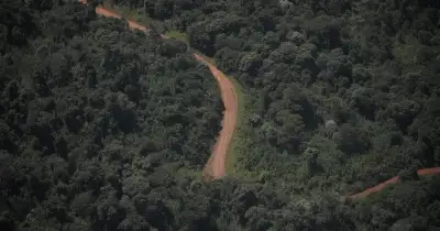 Una provincia que tiene el 90% de su línea limítrofe con otros países fue a la Justicia para frenar la venta sin limitaciones de tierras a extranjeros
