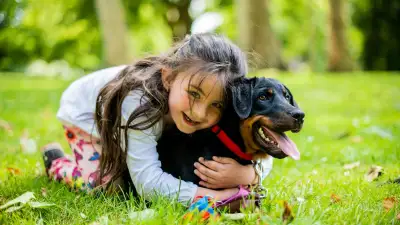 “Los mayores son los grandes olvidados”: un adiestrador explica qué valorar antes de adoptar un perro si vivimos con niños