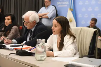 Ley de Defensa a la Soberanía: el plenario, el apoyo parcial de la oposición y el dictamen en una semana