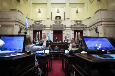 Ley de Salud Mental: el nuevo texto que el Senado aprobó y giró a revisión con negociaciones sobre la hora