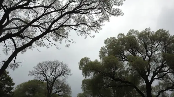 Hay alerta amarilla por viento para este viernes 4 de septiembre en Chubut: las zonas afectadas
