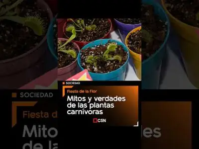 ¿Cuánto sabemos de las plantas carnívoras?