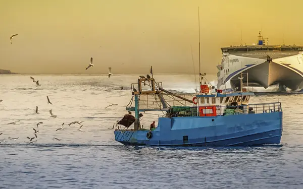 En julio, la pesca subió 300,2% interanual