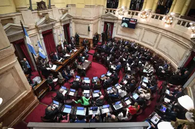 Ley de Salud Mental: el Senado debate entre la operatividad y la remanicomialización